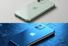 Masih Layak Dibeli? Ini Keunggulan dan Harga iPhone 11 di Tahun 2026
