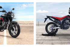 Lebih dari Sekadar Kembar, Bedah Tuntas Perbedaan Internal Mesin Honda CRF dan Verza