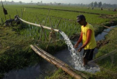 Pastikan Kebutuhan Air Petani Terpenuhi