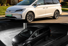 BYD M6 Jadi Primadona Mobil Listrik Keluarga, Hadir dengan Desain Mewah dan Jarak Tempuh Hingga 530 KM