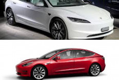Tesla Model 3 2025 Resmi Meluncur, Tampil Mewah dengan Fitur Canggih