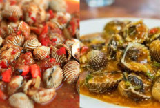 Kerang Saus Padang, Enaknya Bikin Lidah Bergoyang?