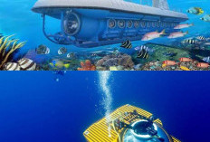 Eksplorasi Laut Dalam Jadi Lebih Mudah dengan Kapal Selam Otonom