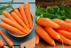 Rahasia Sehat Alami: Manfaat Wortel Untuk Kesehatan Tubuh dari Kepala hingga Kaki