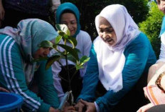 Kampanyekan 10 Program Pokok melalui Gerakan Tanam Cabai