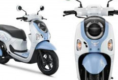 Honda Scoopy Cinnamoroll 2026 Resmi Meluncur! Skutik Imut dengan Sentuhan Sanrio Ini Bikin Anak Muda Kepincut