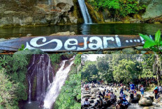 Eksplorasi Air Terjun Palman Sejari, Keindahan Tersembunyi di Hutan Nusa Tenggara Timur!