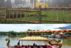 10 Destinasi Wisata Imperdible di Puncak Bogor untuk Liburan Keluarga yang Tak Terlupakan, Simak!