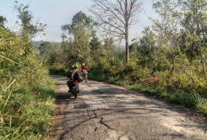 Jalan Rusak Rawan Kecelakaan