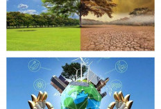 Teknologi Dunia Bersatu untuk Menyelamatkan Bumi dari Krisis Iklim