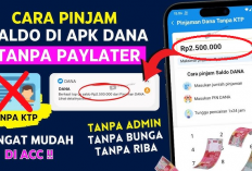 Pinjam Saldo DANA Tanpa Ribet! Dapatkan Limit Hingga Rp20 Juta Secara Resmi OJK!