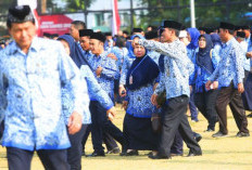  SE Menteri jadi Berkah Kepala Daerah