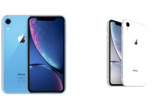 Cuma Satu Kamera tapi Hasil Juara? Rahasia Fotografi iPhone XR yang Belum Banyak Diketahui.