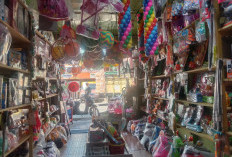 Zul Mainan Pagar Alam, Surganya Mainan Anak dengan Harga Ramah Kantong