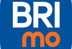 Aktifkan BRImo dan Dapatkan Saldo Hingga Rp 100.000, Kesempatan Menarik untuk Pengguna Baru