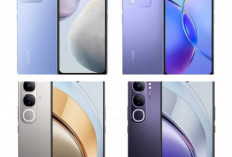 Gak Lagi Mahal! Inilah HP Oppo 2 Jutaan dengan Memori Lega 256GB yang Bikin Brand Tetangga Ketar-ketir