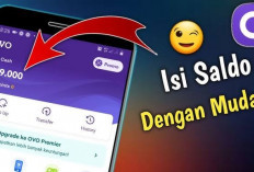 Permainan Baru, Penghasilan Baru, Bagaimana Game Penghasil Saldo OVO Mengubah Cara Kita Menghasilkan Uang