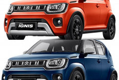 Suzuki Ignis 2026 Kini Kembali dengan Desain Lebih Tangguh! 