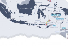 Banyak yang Nggak Tau, Ini 8 Gunung Bawah Laut yang Memukau di Indonesia