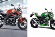 Kawasaki Z250FX Terbaru 2026 Resmi Diperkenalkan? Ini Bocoran Spek, Desain, dan Perkiraan Harganya!