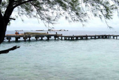 Ekowisata di Kepulauan Seribu, Membangun Kesadaran Lingkungan