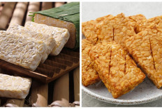 Manfaat Tempe untuk Kesehatan, Jarang Diketahui!