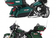 Harley Davidson Kurang Nyaman untuk Harian, Pengguna Atur Posisi Duduk Agar Tidak Cepat Lelah