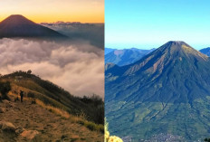 Gunung Sumbing, Tempat Keindahan dan Misteri yang Menyatu!