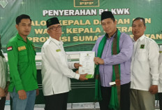 Resmi Didukung Penuh Partai PPP