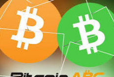Melampaui Bitcoin, Emas Digital yang Mencuri Perhatian di Tahun Ini