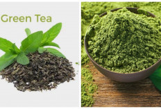Perlu Diketahui! Matcha VS Green Tea, Mana yang Lebih Sehat