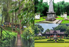 Teka-teki Misteri Kebun Raya Bogor Mengungkap Kejadian Tak Terjelaskan! Simak Artikel Ini