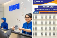 KUR BRI 2025 Resmi Dibuka! Modal Rp50 Juta, Cicilan Mulai Rp32.000 Aja!
