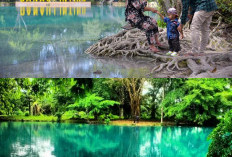 Wisata Alam yang Unik dan Mempesona? Danau Linting Jawabannya!