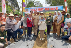 Dinas Pertanian Sukses Laksanakan Gerakan Tanam Serentak