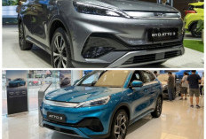 BYD Atto 3 Advanced Plus Mencuri Perhatian, SUV Listrik Modern dengan Jarak Tempuh hingga 480 Km