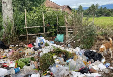 Ingatkan Pentingnya Menjaga Lingkungan Bersih