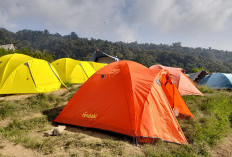 Tren Camping Meningkat, Rental Alat Camping di Pagar Alam Kian Diburu