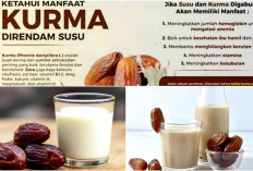 Susu Kurma: Rahasia Energi Tahan Lama untuk Sahur dan Buka Puasa