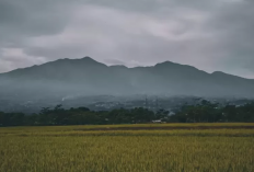 Mitos tentang ‘Prabu Siliwangi’ dan Supranatural di Malam Hari Gunung Malabar