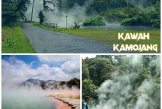 Kawah Kamojang. Energi Panas Bumi Pertama Indonesia yang Jadi Magnet Wisata Edukasi. InI Fakta Selengkapnya!