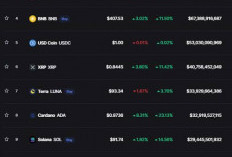 Ini 5  Peyebab Harga Bitcoin Turun, Trader Wajib Tau!