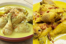  Resep dan Cara Membuat Opor Ayam Sederhana!