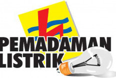 PLN ULP Pagar Alam Lakukan Pemeliharaan Jaringan