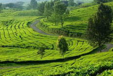 Jadi Magnet Wisatawan Jelang Libur Nataru