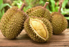 Mengenal Lebih Dekat 5 Manfaat Kesehatan Dari Rutin Mengonsumsi Durian