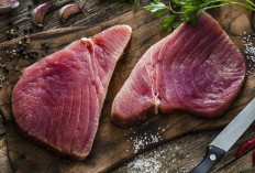 Pentingnya Ikan Tuna Dalam Diet Seimbang, Yuk Cari Tahu! 5 Manfaat Untuk Kesehatan Anda 