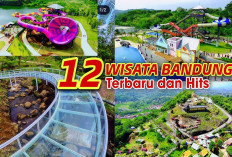 Melihat Destinasi Wisata Kebun Teh Bandung, Panoramanya Indah Segar Saat Dipandang