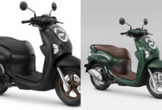 Harga Terbaru Honda Scoopy Mei 2026 Resmi Update, Varian Stylish Ternyata Selisihnya Bikin Kaget!