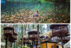 Pesona Salatiga Terkini: 7 Tempat Wisata Baru yang Wajib Dikunjungi